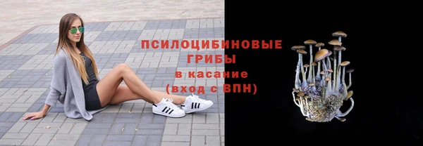 амф Осташков