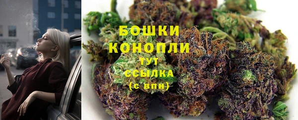 амф Осташков
