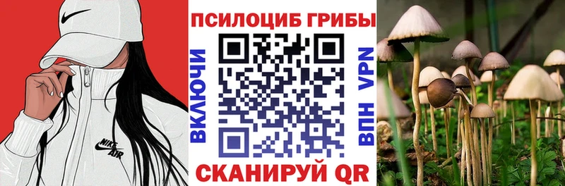 купить закладку  kraken рабочий сайт  Галлюциногенные грибы Cubensis  Углегорск 